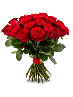 Vôňa lásky 50cm  - 10, 20 alebo 30 kusov - TvojeKvety.sk