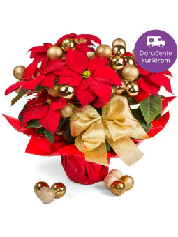 Vianočná ruža s ozdobou - TvojeKvety.sk