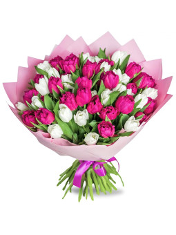 Tulipánové čaro - TvojeKvety.sk